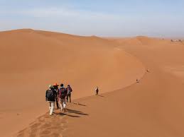 היה הראשון להעלות תמונה לנכס זה! Morocco Desert Camel Trekking 5 Days Desert Majesty