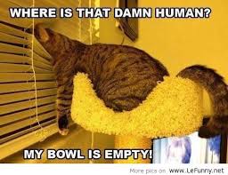 I hope you will love them. Funny Animal Quotes And Pictures For Facebook Relatable Quotes Motivational Funny Funny Animal Quotes And Pictures For Facebook At Relatably Com
