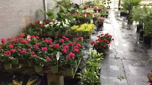 To get the full story and all the details, check us out at jacksonville flower delivery. Garden Shack Home Facebook