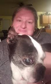 Tucker The Boston Terrier