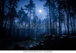 Image result for night against white background