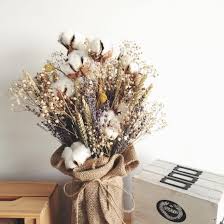 Dried flower in bell jar necklace rose terrarium beauty & the beast bronze e4. Flower Wallpaper Hd Dried Flowers Singapore
