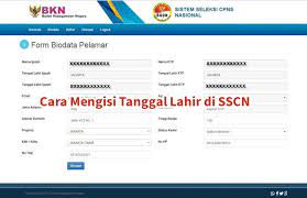 Selanjutnya kita akan mengisi rumus untuk menampilkan tanggal lahir dari nip pns. Cara Mengisi Tanggal Lahir Di Sscn Dengan Mudah Dan Cepat