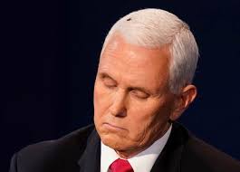 See more of mike pence fly on facebook. Fly On Mike Pence S Head During Vp Debate Sparks Immediate Social Media Firestorm Chicago Tribune