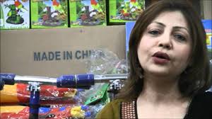 4th of July Festival 2011