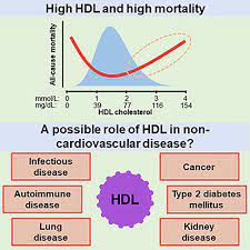 Novel Insights From Human Studies On The Role Of High Density Lipoprotein In Mortality And Noncardiovascular Disease Arteriosclerosis Thrombosis And Vascular Biology