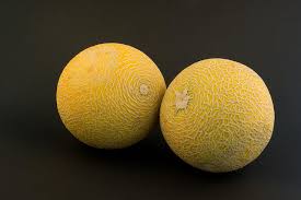 I picked some melon for eating with my boy and it so sweet. A Nice Pair Of Melons