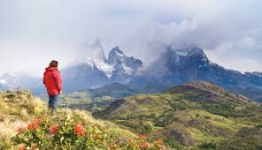 Image result for Bleu Fjord 1982 Fleet