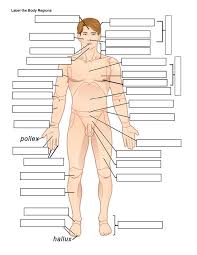 When you are taking anatomy and physiology you will be required to identify major muscles in the human body. Label The Body Regions Biology Libretexts