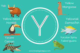 32 Unique Animals that Start with Y
