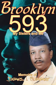 Brooklyn 593: My Sisters and Me: Plummer, James: 9781425903688: Amazon.com:  Books