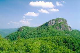 Maybe you would like to learn more about one of these? National Forests In North Carolina Pisgah National Forest