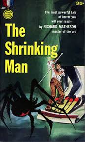 Honey, i shrunk the kids: The Incredible Shrinking Man A Cinematic Nightmare Both All American And Kafka Esque Library Of America