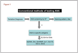 Ana Testing Aacc Org