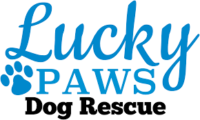 Maybe you would like to learn more about one of these? Lucky Paws Dog Rescue Inc South East Queensland Hervey Bay