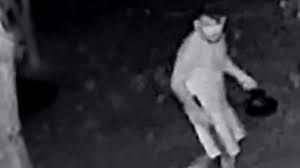 Killer.cloud the serial killer database, an ongoing research project which aims to sort and classify serial killers based on documented references from books written about serial killers as well as. Eh3gvezdufaoam