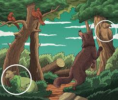 Maybe you would like to learn more about one of these? 12 Postcards With Hidden Details To Test Your Vision