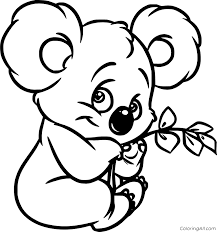 Download Baby Koala Holds Leaves Coloring Page Coloringall