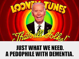 Interesting collection of opinions on Biden's VP pick