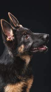 pin na doske sohranennye piny