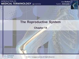 In encrypted form, which means that you need to install free software in order to unlock and read it. Chapter 8 Lesson 8 3 Abruptio Placentae Choriocarcinoma Ppt Video Online Download