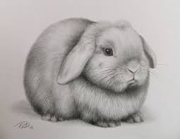 Rabbit Dessin Facile Animaux Peinture De Cheval Dessins Sombres