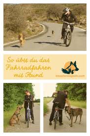 So Kannst Du Mit Deinem Hund Fahrrad Fahren Lernen Haustiermagazin Fahrrad Fahren Musst Du Mit Deinem Hund Ub In 2020 Hund Fahrrad Fahrrad Fahren Hunde Erziehen
