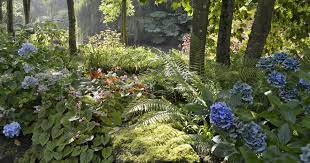 Stauden für den halbschatten unsere top 10 plantura from stauden für den garten. Ideen Fur Schattige Platze Im Garten Mein Schoner Garten