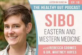 The Healthy Gut Episode 19 - The Healthy Gut Podcast