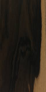 Image result for Diospyros crassiflora