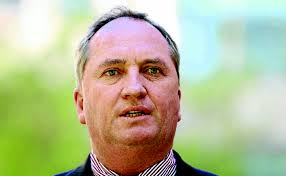 New England MP Barnaby Joyce elected