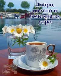 images?q=tbn:ANd9GcRgRwOEmPhedQlqMX12Y3t