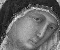 Danny Traub's Instagram, Twitter & Facebook