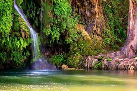 See more ideas about places to go, trip, places to travel. Most Beautiful Places In Texas To Visit Underrated Spots To Explore Thrillist