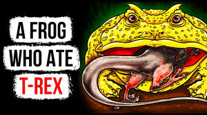 This Frog S Bite Is Stronger Than A Wolf Watch Out Youtube