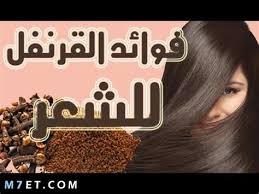 فوائد القرنفل للشعر Alaylalayl