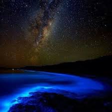 sina visitor system places to go natural landmarks landmarks