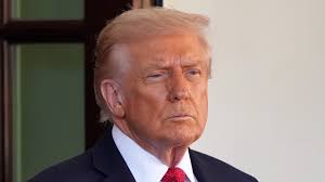 Dutton has a team specifically chosen to 'defeat' the Voice referendum