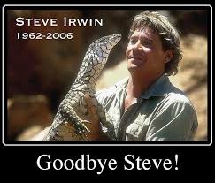 Irwin initially believed he only had a punctured lung. I Will Miss Him Crocodile Hunter Died Today Steve Irwin Irwin Family Steve Irwin Quotes