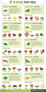 10 Herbs That Heal Superfoods Alimentation Et Sante Sante Holistique Remedes Naturels