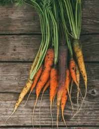 Nigella sativa is also called black cumin, black caraway, roman coriander and onion seeds. What S In Season Food Daydreaming