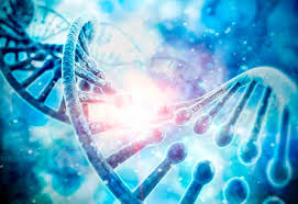 Maybe you would like to learn more about one of these? The Parkinson S Disease And Movement Disorders Center At Johns Hopkins In Baltimore Md