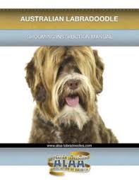 We did not find results for: Grooming Hale S Australian Labradoodles