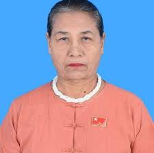 Ethnic tension, conflicts key concern for Myanmar's incoming MPs