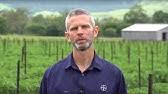 The multiple sites of action not only create an effective fungicide, but also make it very difficult for diseases to develop resistance. Serenade Biological Fungicide Powered By Nature Empowered By Science Youtube