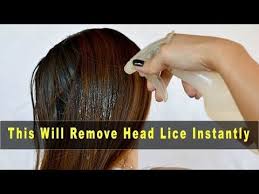 Hence using a hair dryer after shampooing the hair can go a long way towards removing head lice. How To Remove Lice From Hair At Home Overnight How To Get Rid Of Head Lice Permanently Youtube Head Louse Lice Remedies Head Lice Remedy