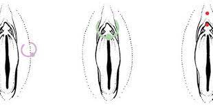 An Ultimate Clit Piercing Guide