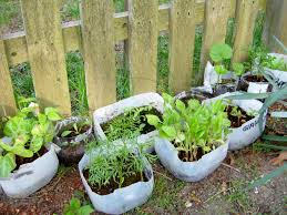 How to plant seeds in square foot garden. Planting Update Winter Sowing And Square Foot Garden Minding My P S With Q