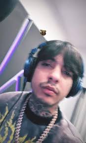 Jesus Manuel Chan Can (jesusmanuelchancan)