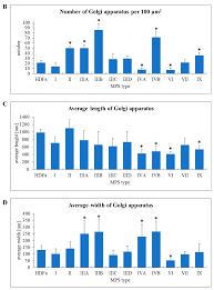 The proteoglycans are those molecules that are present in the extracellular matrix of the animal cells and play a vital role for the mechanical support to the cell. Ijms Free Full Text Gene Expression Related Changes In Morphologies Of Organelles And Cellular Component Organization In Mucopolysaccharidoses Html